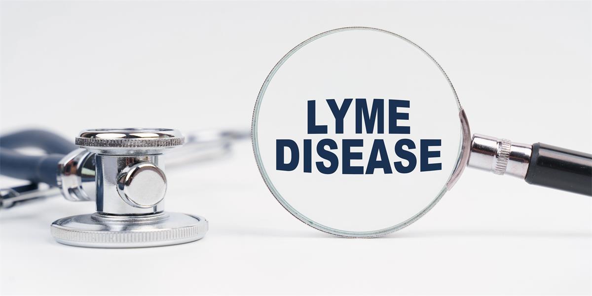 Lyme Disease